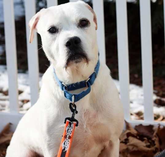 Photo of Bumble