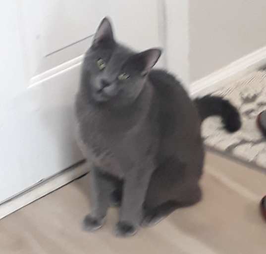 Photo of ASHE