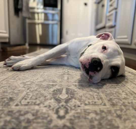 Photo of Mila Luna