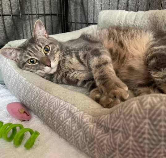 Photo of Mr Chubbs