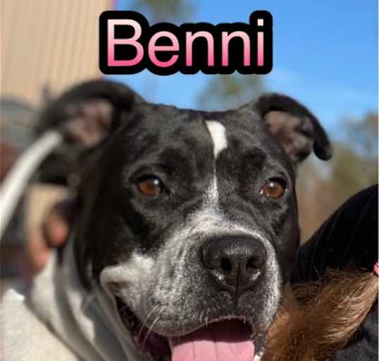 Photo of Bennie