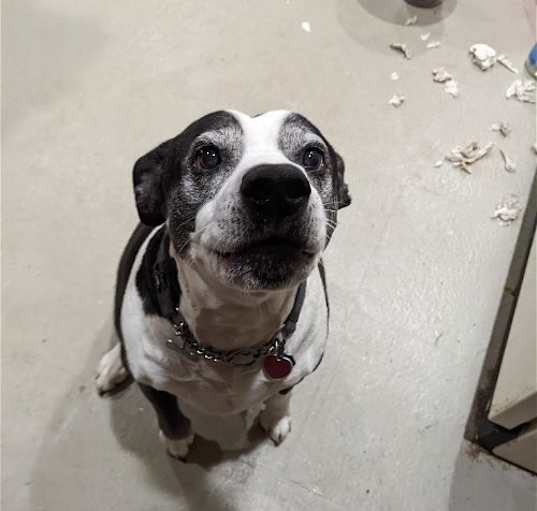 Photo of Maggie Jane