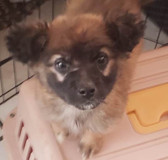 Photo of Baby Maya