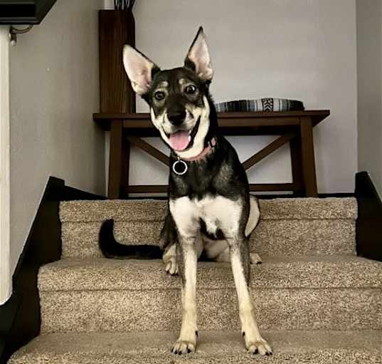 Photo of Ava