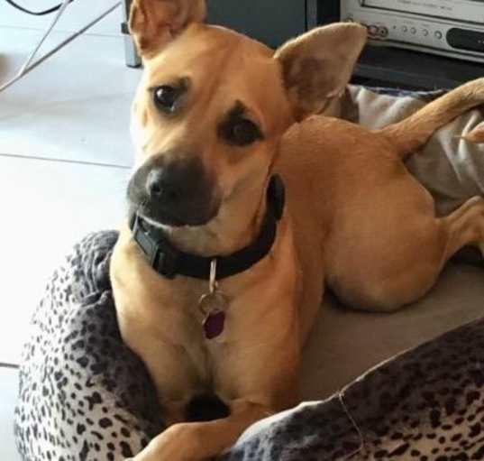 Photo of Roo
