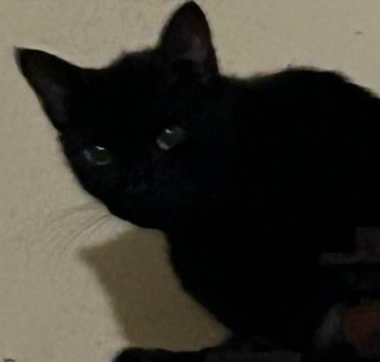 Photo of Seiko