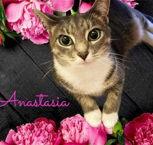 Photo of Anastasia