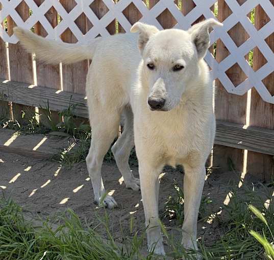 Photo of Oso