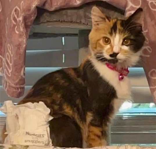 Photo of Cami