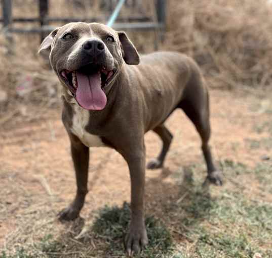 Photo of Cash