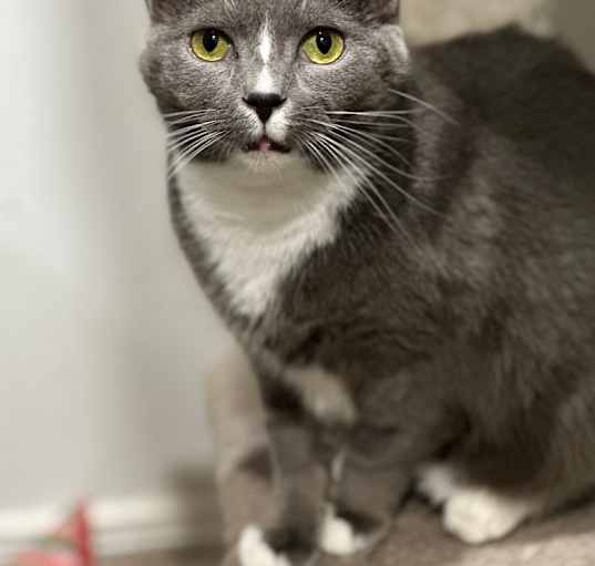 Photo of Marcie