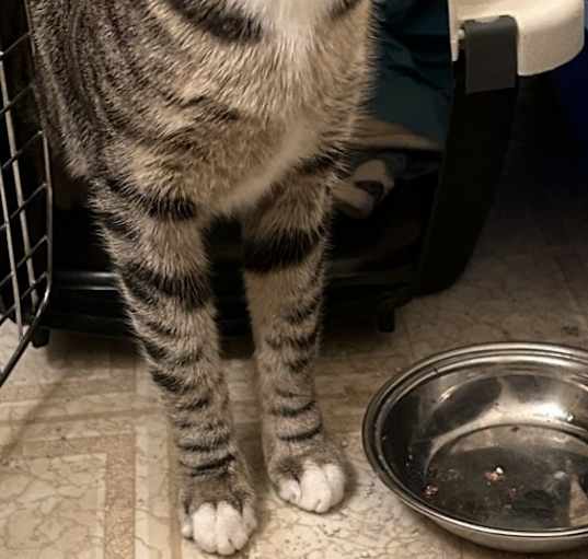 Photo of OLIVIA