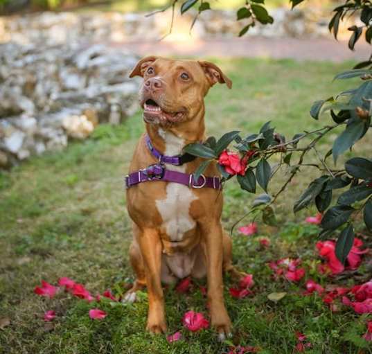 Photo of Marley Ella