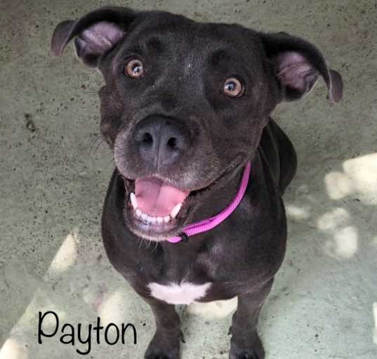 Photo of Payton