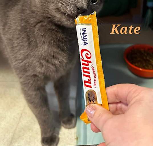 Photo of KATE