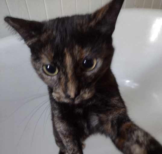 Photo of Fiona