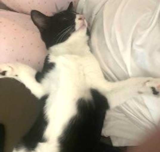 Photo of Lily