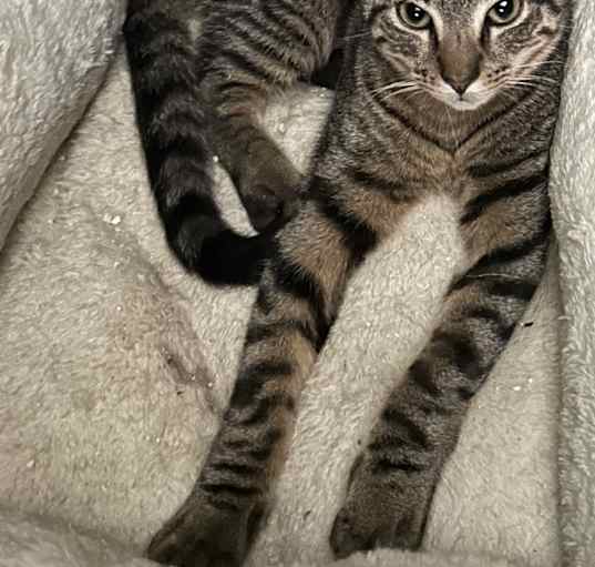 Photo of Holly