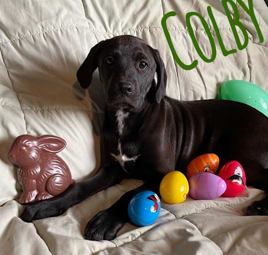 Photo of Colby