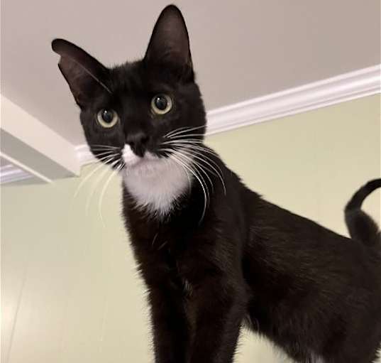 Photo of Stormy