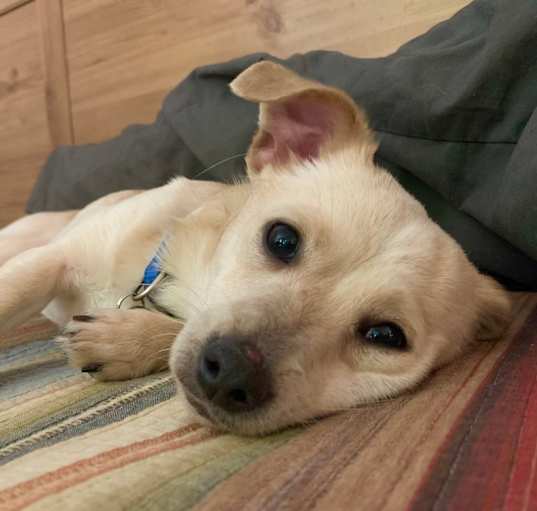 Photo of Adorable Brady