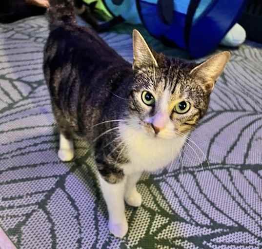 Photo of Millie