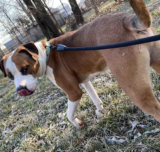 Photo of Skittles