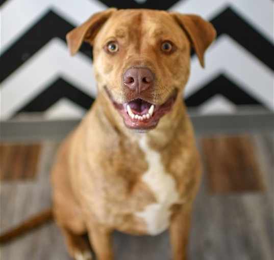 Photo of Wrigley