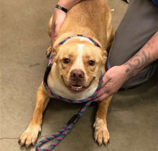 Photo of Nala