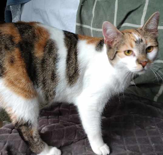 Photo of Agatha