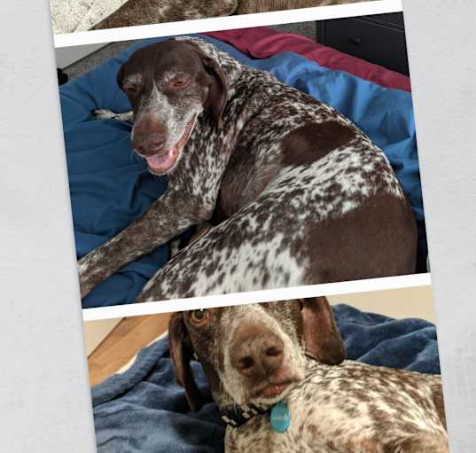 Photo of Macy