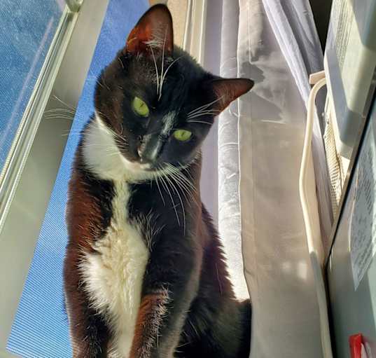 Photo of Penelope