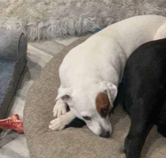 Photo of Holly