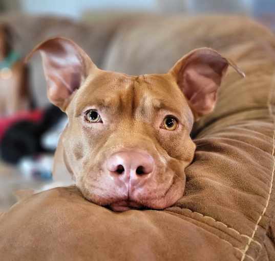 Photo of Nellie