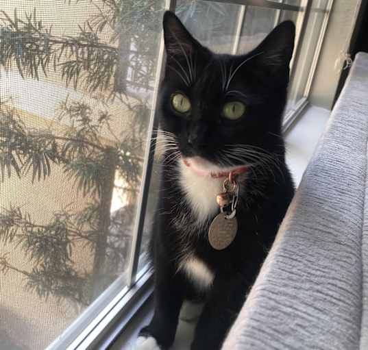 Photo of Molly