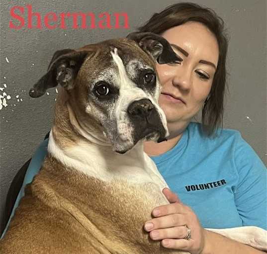 Photo of Sherman