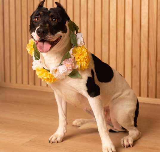 Photo of Winnie