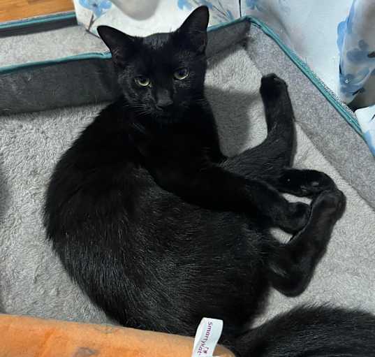 Photo of Tommy