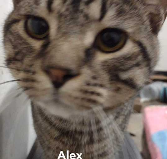 Photo of Alex