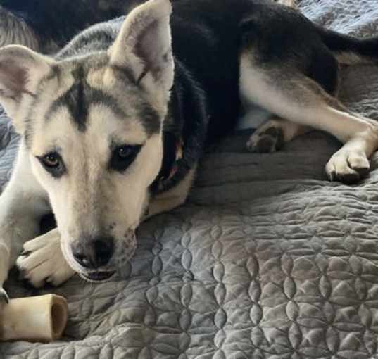 Photo of Holly