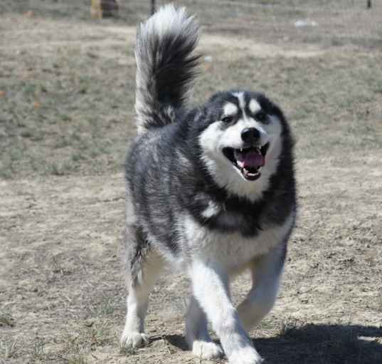 Photo of Nome