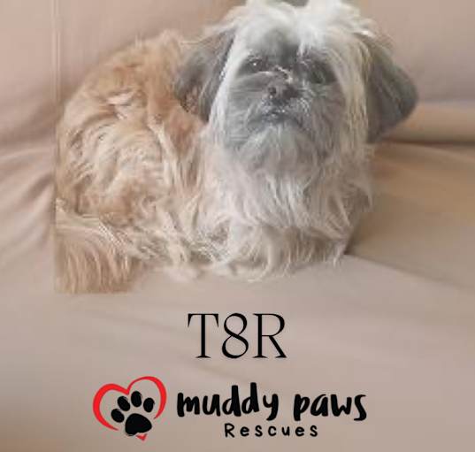 Photo of T8R (pronounced Tater)