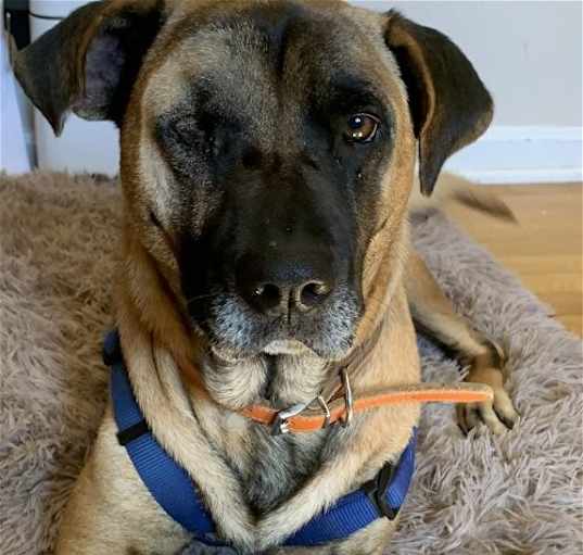 Photo of Scooter