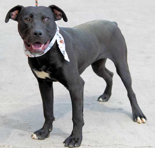 Photo of Moxy
