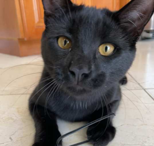 Photo of Miguel