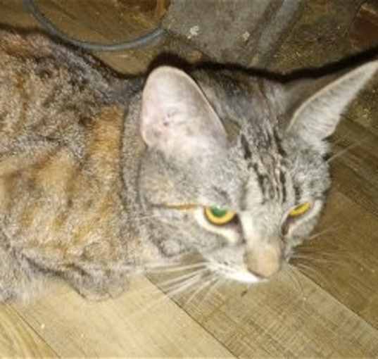 Photo of Miyah