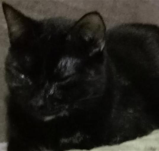 Photo of Mae