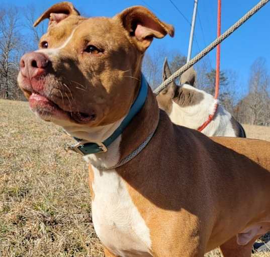 Photo of REBEL