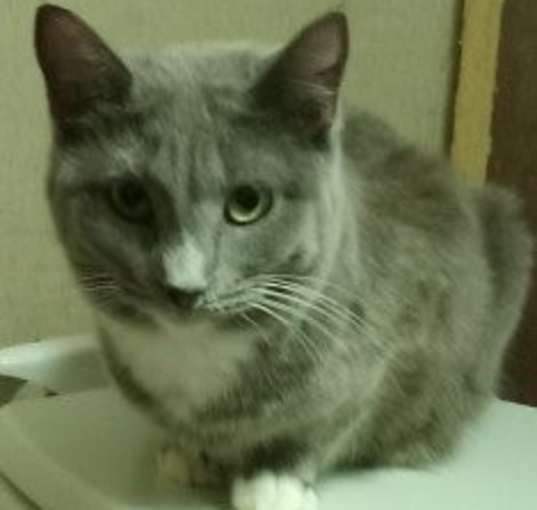 Photo of Joelle