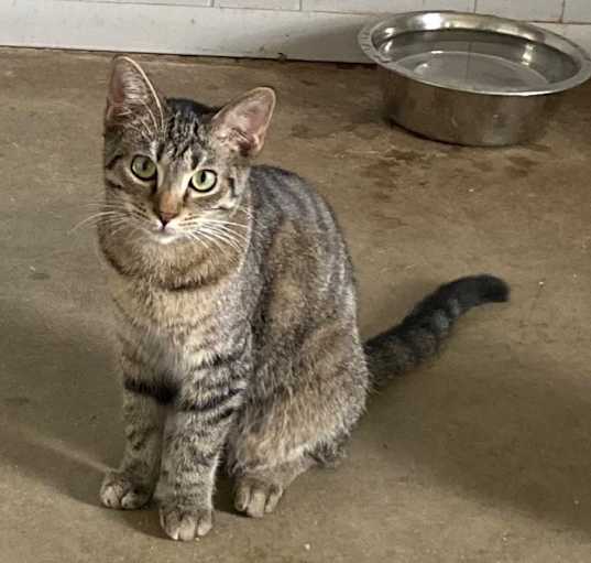 Photo of Huckle Berry